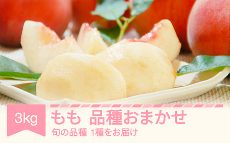 【先行予約】もも 桃 品種おまかせ 約3kg 令和7年産 2025年産 山形県産 果物 mm-moomx3000 ※沖縄・離島への配送不可