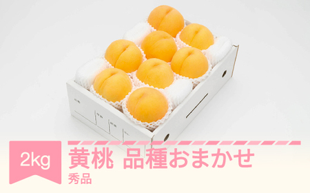 有袋黄桃 秀品 品種おまかせ 化粧箱入り 約2kg 令和7年産 2025年産 山形県産 果物 送料無料 ※沖縄・離島への配送不可 ns-mootx2