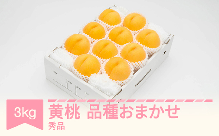有袋黄桃 秀品 品種おまかせ 化粧箱入り 約3kg 令和7年産 2025年産 山形県産 果物 送料無料 ※沖縄・離島への配送不可 ns-mootx3