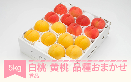 先行予約 白桃＆有袋黄桃 秀品 品種おまかせ 化粧箱入り 約5kg 令和七年産 2025年産 山形県産 果物 送料無料 ns-mohot5