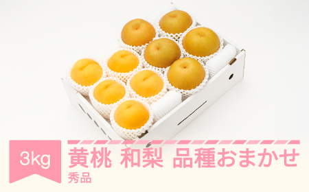 有袋黄桃 秀品&和梨 品種おまかせ 詰め合わせ 約3kg 令和6年産 2024年産 果物 送料無料 ns-fsonx3