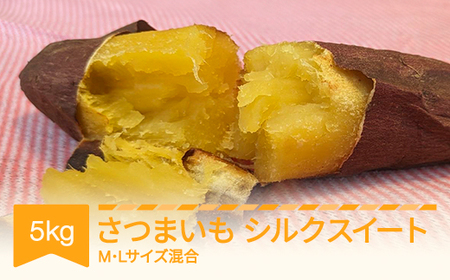さつまいも シルクスイート 約5kg 村山市産 2025年産 令和7年 山形県産 A品 if-spssx5 ※沖縄・離島への配送不可