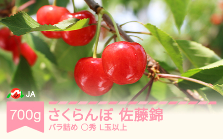 先行予約 さくらんぼ 佐藤錦 ○秀L玉以上 700gバラ 2025年産 令和7年産 果物 果樹 フルーツ ja-snbax700 ※沖縄・離島への配送不可