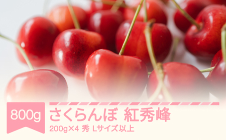 先行予約 2025年産 さくらんぼ 紅秀峰 秀 Lサイズ以上 山形県産 フルーツ 果物 くだもの サクランボ sb-bsslx800 ※沖縄・離島への配送不可