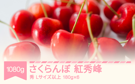 ys\z2026NY ߘa8NY   gG LTCYȏ G 1080g(180g×6) R`Y t[c ʕ  TN{ sb-bsslx1200 Eւ̔zs