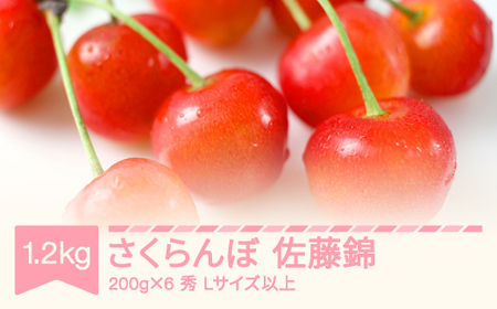 先行予約 2025年産さくらんぼ 佐藤錦 秀 Lサイズ以上 1.2kg(200g×6) 山形県産 フルーツ 果物 くだもの サクランボ sb-snslx1200 ※沖縄・離島への配送不可