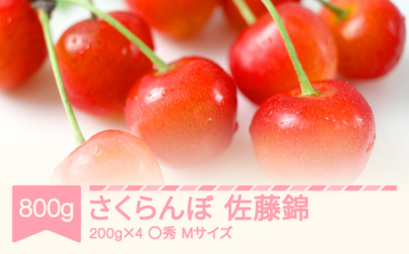 先行予約 2025年産 さくらんぼ 佐藤錦 〇秀 Mサイズ 800g (200g×4) 山形県産 フルーツ 果物 くだもの サクランボ sb-snpmx800 ※沖縄・離島への配送不可