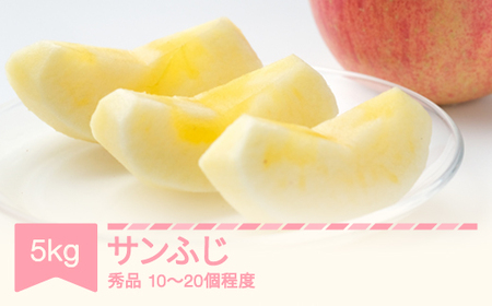 先行予約 2025年産 りんご サンふじ 秀品 約5kg (10〜20個程度) 山形県産 フルーツ 果物 くだもの リンゴ 林檎 sb-risfx5 ※沖縄・離島への配送不可