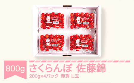 先行予約 さくらんぼ 佐藤錦 赤秀 L玉200g×4パック 2025年産 令和7年産 山形県産 mm-snplx800