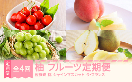 [先行予約]柚 フルーツ 定期便 全4回 さくらんぼ 佐藤錦 もも 白桃 ぶどう シャインマスカット ラ・フランス ギフト 果物 2025年産 令和7年産 山形県産 mm-ft4yz