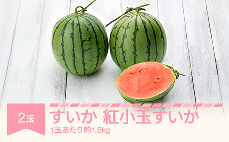 すいか 紅小玉すいか 秀品 2玉 愛娘さくら ピノガール 令和7年産 2025年産 スイカ 果物 no-subkx2 ※沖縄・離島への配送不可