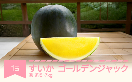 [先行予約] すいか ゴールデンジャック 1玉5kg~7kg 2025年産 令和7年産 no-sugjx1 ※沖縄・離島への配送不可
