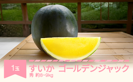 [先行予約] すいか ゴールデンジャック 1玉 8kg~9kg 2025年産 令和7年産 no-sugjc1 ※沖縄・離島への配送不可