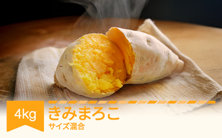 さつまいも きみまろこ 約4kg 村山市産 2025年産 令和七年 山形県産 no-spkmx4