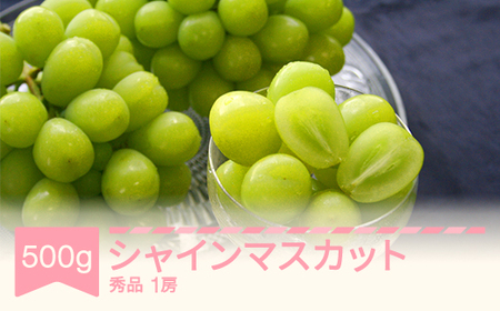 [先行予約]シャインマスカット 秀品 500g 令和7年産 2025年産 果物 mm-busmx1 ※沖縄・離島への配送不可