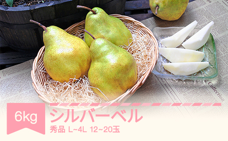【先行予約】シルバーベル L-4L 秀品 6kg(3kg×2箱) 洋梨 令和7年産 2025年産 果物 mm-sbsxx6 ※沖縄・離島への配送不可