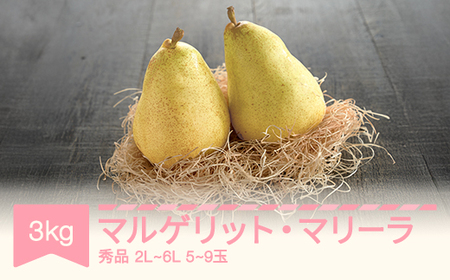 【先行予約】マルゲリット・マリーラ 2L-6L 秀品 3kg 洋梨 西洋梨 令和7年産 2025年産 果物 mm-mmsxx3 ※沖縄・離島への配送不可