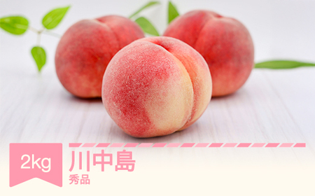 [先行予約]もも 桃 川中島 約2kg 令和七年産 2025年産 山形県産 果物 フルーツ 送料無料 ※沖縄・離島への配送不可 si-moknx2