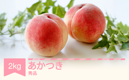 [先行予約]もも 桃 あかつき 約2kg 令和七年産 2025年産 山形県産 果物 フルーツ 送料無料 ※沖縄・離島への配送不可 si-moatx2
