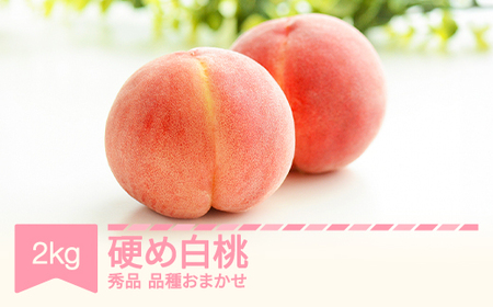 [先行予約]かため白桃おまかせ もも 桃 品種おまかせ 約2kg 令和七年産 2025年産 果物 ※沖縄・離島への配送不可 si-mokox2