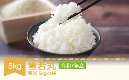[先行予約] 新米 米 雪若丸 精米 5kg 令和7年産 2025年産 山形県村山市産 mr-ywxxa5