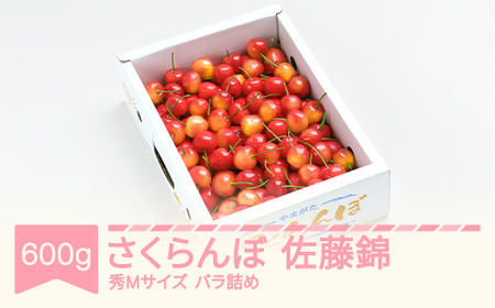 [先行予約] さくらんぼ 佐藤錦 600g バラ箱 秀M 2026年産 令和8年産 山形県産 ※沖縄・離島への配送不可 ns-snsmb600