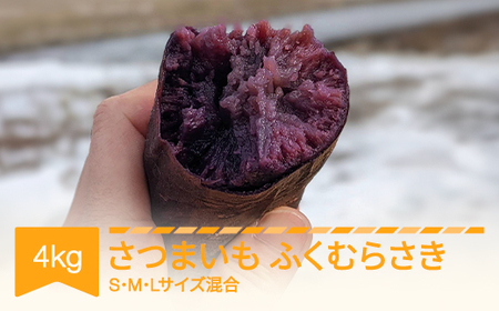 さつまいも ふくむらさき 洗い済み 約4kg 村山市産 2025年産 令和7年 山形県産 no-spfma4 ※沖縄・離島への配送不可