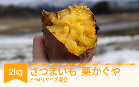 さつまいも 栗かぐや 洗い済み 約2kg 村山市産 2025年産 令和7年 山形県産 no-spkka2 ※沖縄・離島への配送不可