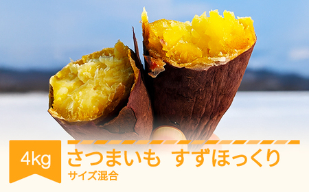 ܂ ق 4kg RsY 2025NY ߘaN R`Y  no-spshx4 Eւ̔zs