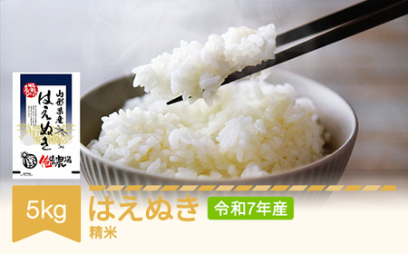 新米 はえぬき 精米 米 コメ 5kg 2025年産 令和7年産 山形県村山市産 ※沖縄・離島への配送不可 of-haxxa5
