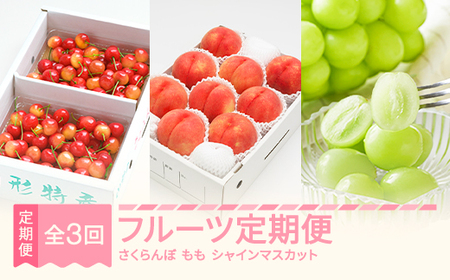 先行予約 春始まり 果実定期便全3回 令和8年産 ns-ftshs3-s
