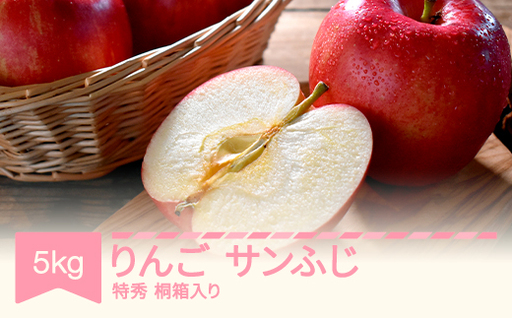 [先行予約]サンふじ りんご 約5kg 特秀品 桐箱入 令和8年産 2026年産 ※沖縄・離島への配送不可 mm-risfk5000