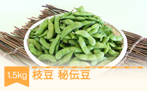 【先行予約】枝豆 秘伝豆 約1.5kg 村山市産 2026年産 令和八年 山形県産 mm-emhxx1500 ※沖縄・離島への配送不可