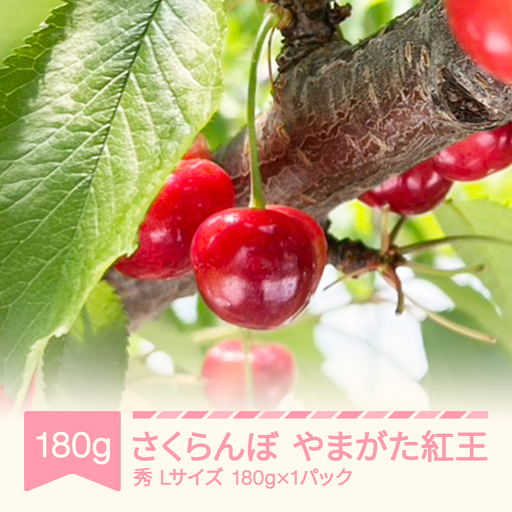 令和8年産 さくらんぼ やまがた紅王 Lサイズ 180g sb-ybslx180