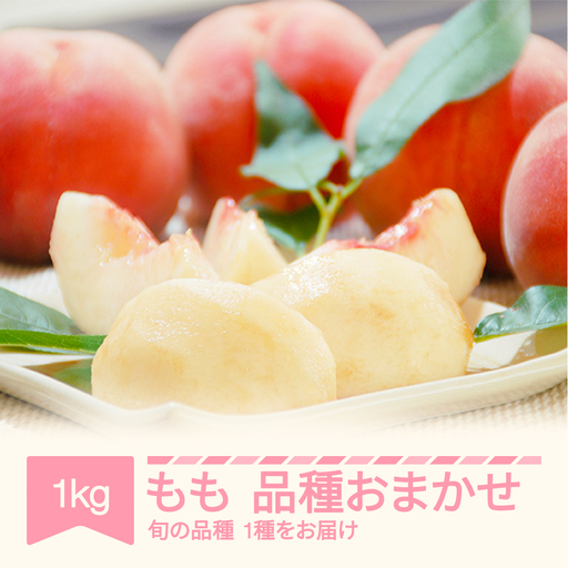 先行予約 白桃 品種おまかせ 約1kg 令和8年産 mm-moomx1000