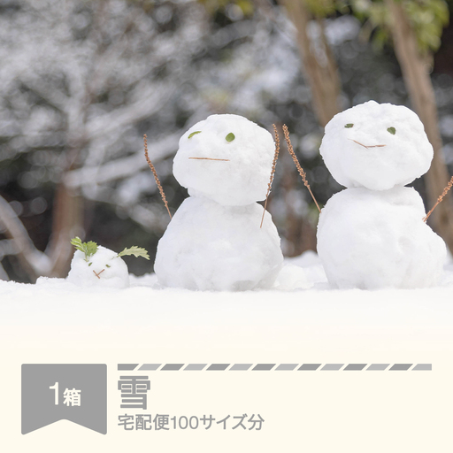 天然の雪 100サイズ分 rk-snxxx100