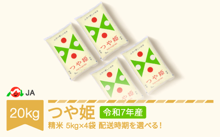 米 20kg 5kg×4 つや姫 精米 令和5年産 2023年産 山形県村山市産 ※沖縄・離島への配送不可 ja-tsxxa20