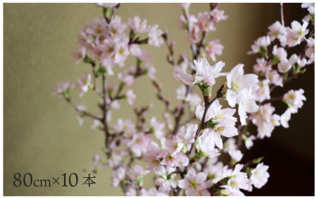 啓翁桜 80cm 10本 ケイオウザクラ さくら 2025年産 令和7年産 山形県村山市産 ja-ksxxx80