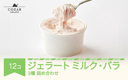 WF[g ~NEo 12 Zbg ACX RUuWF[g Y lߍ킹 cb-gemxx12  Eւ̔zs