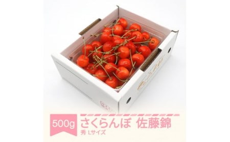 さくらんぼ 佐藤錦 秀品 L玉 500g バラ詰 ご家庭用 2024年産 令和6年産 山形県産 mm-snbax500 ※沖縄・離島への配送不可