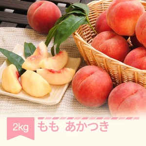 もも 桃 あかつき 約2kg 令和六年産 2024年産 山形県産 果物 フルーツ 送料無料 ※沖縄・離島への配送不可 mm-moatx2