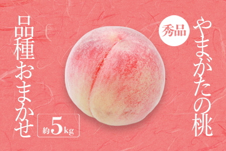 【2025年8月～9月発送分先行受付】「秀品」山形県産 桃（品種おまかせ）約5kg_H206(R7)