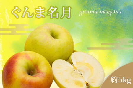 y2025NzR`̂񂲁iܖj5kg_H208(R7)