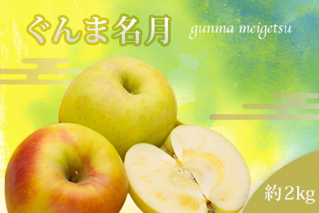 [2025年発送]山形のりんご(ぐんま名月)約2kg_H217(R7)