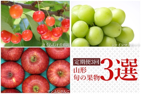 �y2026�N�����z�y�����3��z�R�`�{�̉ʕ�3�I�i������/�V���C���}�X�J�b�g/��񂲁j_H237(R8)