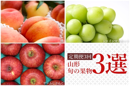 [2025年8月〜12月発送][定期便3回]山形旬の果物3選(桃/シャインマスカット/りんご)_H239(R7)