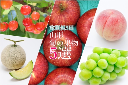 [2025年6月〜12月発送][定期便5回]山形旬の果物5選(佐藤錦/メロン/桃/シャインマスカット/りんご)_H243(R7)