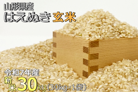 yߘa7NYVāzyāzR`Yu͂ʂv30kg_A190(R7)