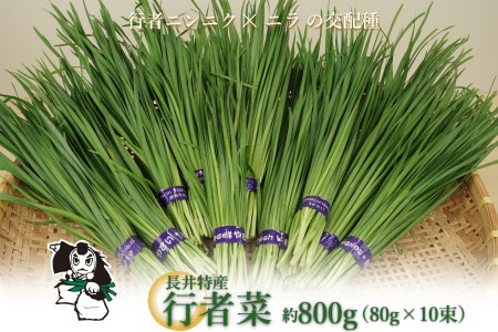 【2025年5月～9月発送】長井特産行者菜約800g（80g×10束）_H100(R7)