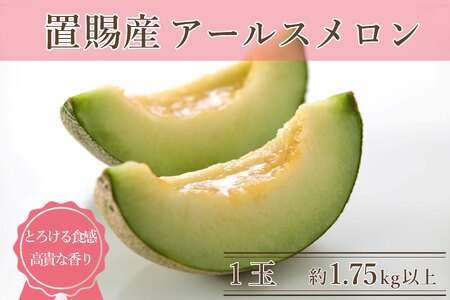 【2026年発送】置賜産マスクメロン（アールスメロン）約1.75kg以上×1玉_H245(R8)